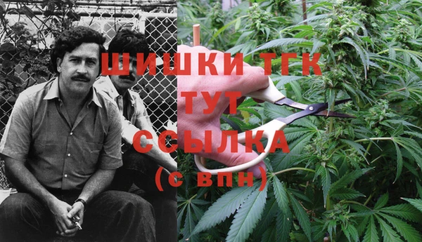 хмурый Бронницы